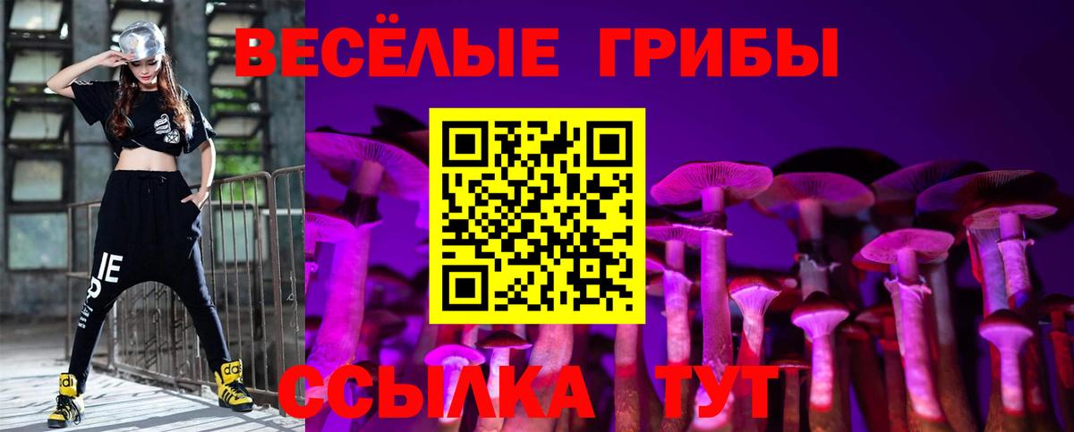 Михайловск  Псилоцибиновые грибы Cubensis  Вход с VPN 